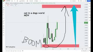 cat in a dogs world MEW Crypto Price Prediction 2024 [upl. by Anicul]