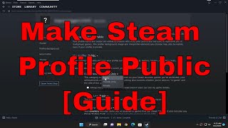 How to Make Your Steam Profile Public Guide [upl. by Attevaj]