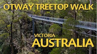 Otway Treetop Walk  A must do in Victoria Australia [upl. by Etnovaj138]