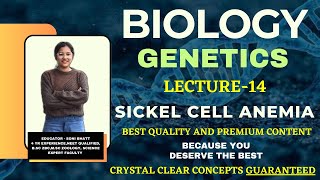 SICKEL CELL ANEMIA  PRINCIPLES OF INHERITANCE CLASS 12 neet cbseboard biology genetics [upl. by Roumell722]