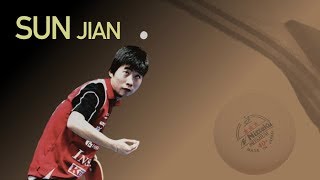 Sun Jian vs Zhao Peng Swedish League Final 2010 [upl. by Elletse]