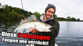 Diese Montagen fangen wie verrückt Die 3 BESTEN Angelmontagen für Zander Angeln mit Gummifisch [upl. by Aitat386]