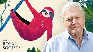 Why is biodiversity important  with Sir David Attenborough  The Royal Society [upl. by Letsyrk722]