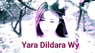 Yara dildara wy aa ja do galan kriyePunjabi songlove song [upl. by Rotman325]