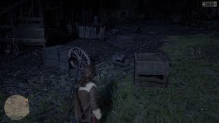 RDR2 Glitch NPC Disappears [upl. by Darrej546]