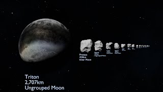 Neptunian Moons Size Comparison [upl. by Martguerita292]