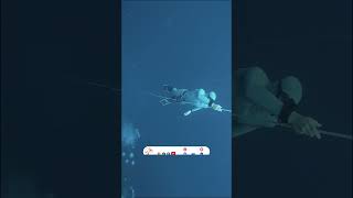 You need to see this ↓  Freedive Academy [upl. by Eoj665]