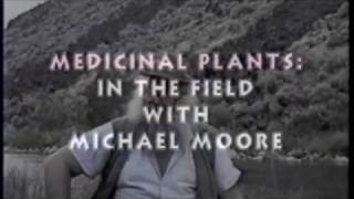 Medicinal Plants  In The Field With Michael Moore 1 [upl. by Nyssa]