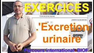 PARCOURS INTERNATIONAL BIOF Exercices  excrétion urinaire [upl. by Green]