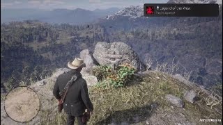 RDR2 Platinum Trophy [upl. by Alford]