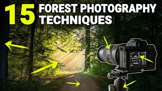 HOW TO PHOTOGRAPH FORESTS [upl. by Tega]