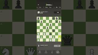 India 🇮🇳 vs Australia 🇦🇺23102024 chessbattle chessindia chessgames indianchess chessaustralia [upl. by Ho]