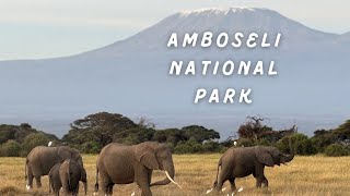 Amboseli National Park [upl. by Enyledam]