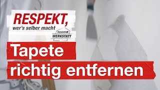 Tapeten komplett entfernen  toom Werkstatt [upl. by Neerahs]