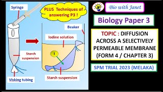 BIOLOGY PAPER 3 QUESTION  DIFFUSION THROUGH VISKING TUBING F4C3  ANSWERING TECHNIQUES FOR P3 [upl. by Verda]