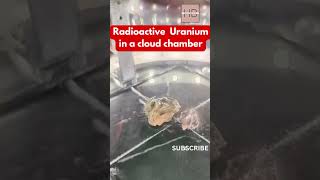 Shocking😱 Uranium Reaction in Cloud Chamber shorts science radioactivity [upl. by Lyred]