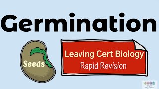 Germination Biology Bugbears Rapid RevisionLeaving Cert Biology 2025 Plant Reproduction [upl. by Analat638]