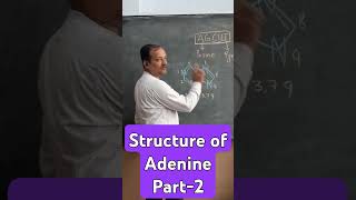 What is Adenine Structure of Adenine Structure of DNA [upl. by Lari]