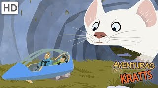 Aventuras con los Kratt  El Salvaje Oeste Salvaje  Videos Para Niños [upl. by Ligriv23]