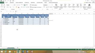 Excel 2013  Dataanalyse  17 Werken met autofilter [upl. by Bortman753]