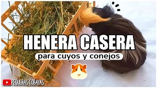 HENERA para CUYOS Y CONEJOS 🐰 CASERA  DIY [upl. by Bushweller]