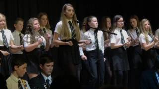 The Appleton School Xmas Concert 2016 [upl. by Anaidni]