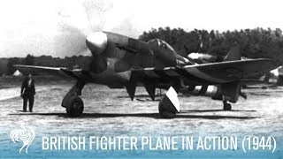 British RAF Hawker Tempest Fighter Plane in Action 1944  British Pathé [upl. by Oag347]