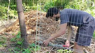 How to install a welded wire fence [upl. by Laforge818]