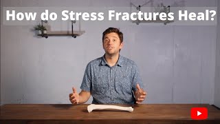 How Do Stress Fractures Heal [upl. by Parik]