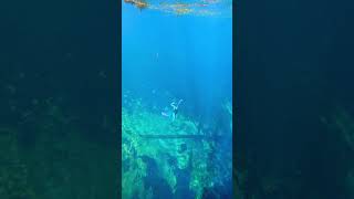 I found some of my first freediving videos Shot by Coralia Dives 🧜‍♀️ mermaid mermaidswimming [upl. by Irakab]