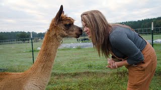 The Animals of Roots amp Refuge Farm [upl. by Brenk634]