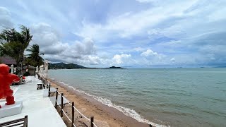 The Deck Beach Club 🔴 Bang Rak beach  Koh Samui Live cam [upl. by Lauer999]