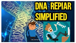 DNA Repair mechanism quick and easy in UrduHindi [upl. by Akedijn]