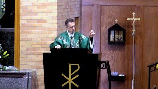 Homily for the 27th Sunday in Ordinary Time October 06 2024 [upl. by Akers]