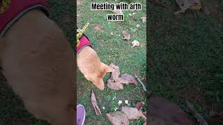 Meeting with arth worm [upl. by Ahseryt]