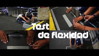 Test de Flexibilidad  Well [upl. by Menard]