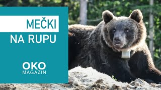 Oko magazin Mečki na rupu [upl. by Sanferd]