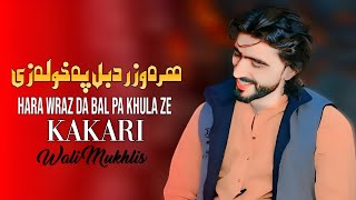 Hara Wraz Da Bal Pa Khula Ze  Wali Mukhlis  Pashto New Songs 2024  Kakari  HD  Kaliwal Typist [upl. by Noved]