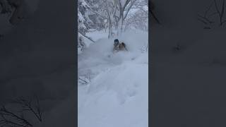 THE best time to go skiing in JAPAN snow winter japan skiing ng [upl. by Temple]