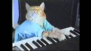 Keyboard Cat Piano original music Sakura school simulator [upl. by Gabe]