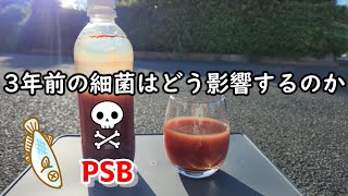 3年前のPSB光合成細菌をメダカに使ってみた！3年前のPSBはどう影響するのか… [upl. by Ise]