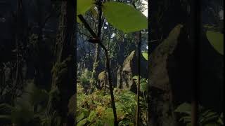 RDR2 Guarma Tropical Jungle 10 rdr2 gamingambience atmosphere gaming [upl. by Asyram347]