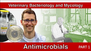 Antimicrobials Part 1  Veterinary Bacteriology and Mycology [upl. by Atteloj819]