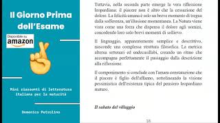 LA QUIETE DOPO LA TEMPESTA di G Leopardi  ANALISI  RIASSUNTI BREVISSIMI DI LETTERATURA ITALIANA [upl. by Rednael]