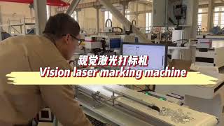 Vision laser marking machine CCD [upl. by Lois]