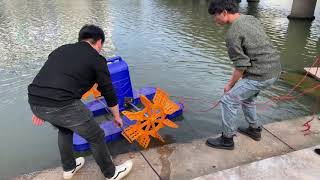 Solar paddle wheel aerator testing video [upl. by Brandtr]