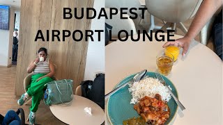 Budapest Plaza Premium Lounge Budapest Airport Lounge airporttour airport budapestairport [upl. by Benetta689]