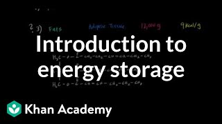 Introduction to Energy Storage [upl. by Joy109]