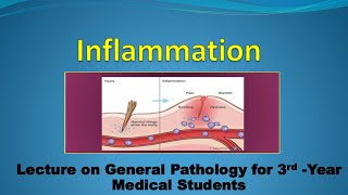 Pathology Inflammation 2 Part 2 [upl. by Annodahs534]