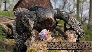 Wisconsin Gobbler Takes a Dirt Nap Selffilmed Turkey Hunt [upl. by Krute]